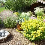 In Mit Grossem Garten By Interhome דירה